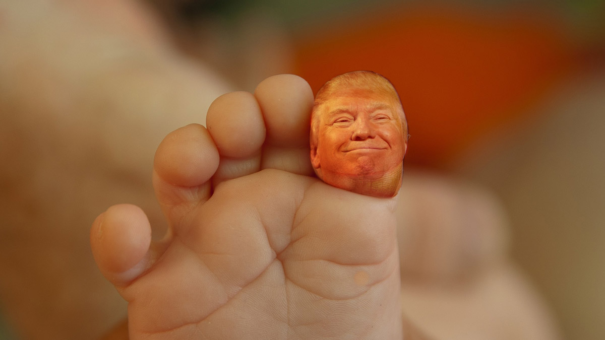 Why Loving Donald Trump is The Way Vibrant Freedom by Cynthia Lamb
